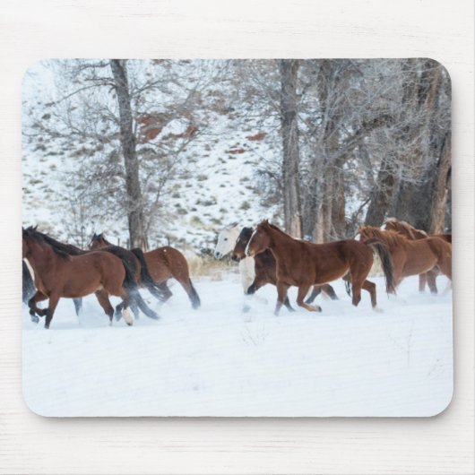 雪の中を駆ける馬の群れ マウスパッド (正面)