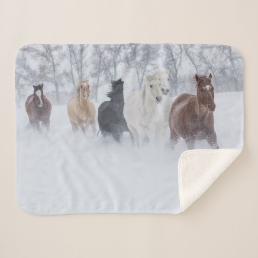 雪の中を駆ける馬 シェルパブランケット (正面(横))