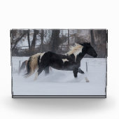 雪の中を駆ける馬 フォトブロック (正面)