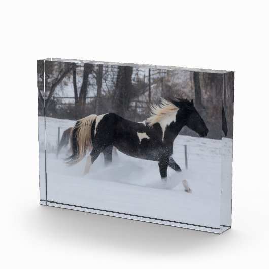 雪の中を駆ける馬 フォトブロック (右)