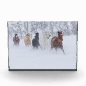 雪の中を駆ける馬 フォトブロック (正面)