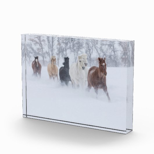 雪の中を駆ける馬 フォトブロック (右)