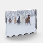 雪の中を駆ける馬 フォトブロック (左)