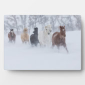 雪の中を駆ける馬 フォトプラーク (正面)