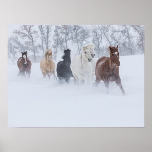 雪の中を駆ける馬 ポスター (正面)