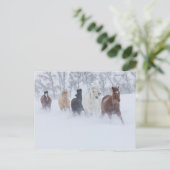 雪の中を駆ける馬 ポストカード (スタンド正面)