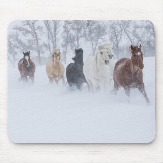 雪の中を駆ける馬 マウスパッド (正面)