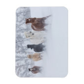 雪の中を駆ける馬 マグネット (縦)