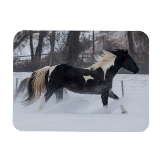 雪の中を駆ける馬 マグネット (横)