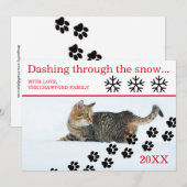 雪の中を駆け抜ける猫 - クリスマスカード (正面/裏面)
