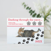 雪の中を駆け抜ける猫 - 3x5 クリスマスカード 招待状 (スタンド正面)