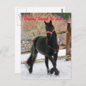雪の中を駆け抜ける… ポストカード (正面/裏面)