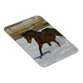 雪の中ランニングのサラブレッド・ホース マグネット (右側)