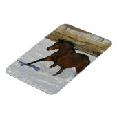 雪の中ランニングのサラブレッド・ホース マグネット (左側)