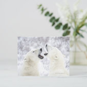 雪の中遊にホッキョクグマ ポストカード (スタンド正面)