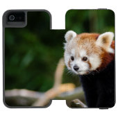 雪の丸太に座る赤いパンダ INCIPIO iPhoneウォレットケース (フォリオ Open)