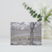 雪の仲間の日じゃないの？??? ポストカード (スタンド正面)