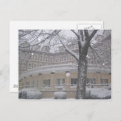 雪の仲間の日じゃないの？??? ポストカード (正面/裏面)