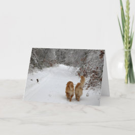 雪の仲間 カード