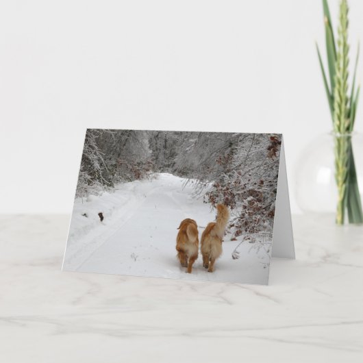 雪の仲間 カード (正面)