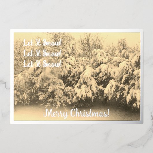 雪の休日にする 箔シーズンカード (正面)