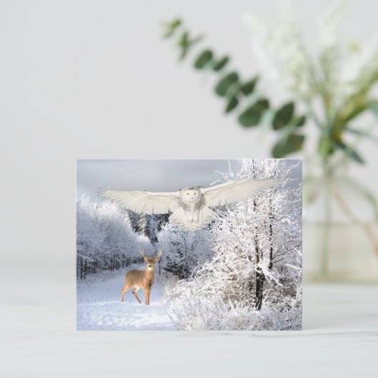 『雪の光』 ポストカード (スタンド正面)