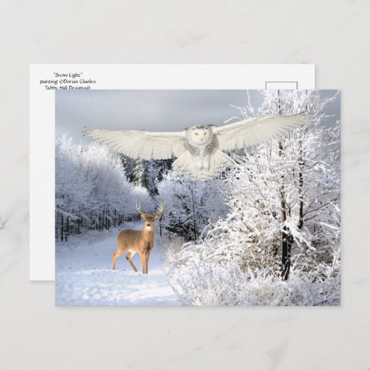 『雪の光』 ポストカード (正面/裏面)