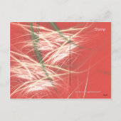 雪の円錐形 シーズンポストカード (裏面)