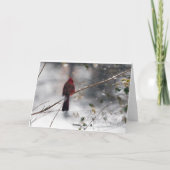 雪の写真のクリスマスカードの赤い（鳥）ショウジョウコウカンチョウ シーズンカード (裏面)