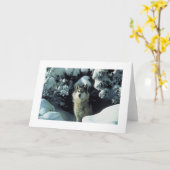 雪の写真カードのオオカミ カード (黄色い花)