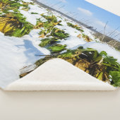 雪の冬のカボチャパーソナライズされた- シェルパブランケット (3/4)