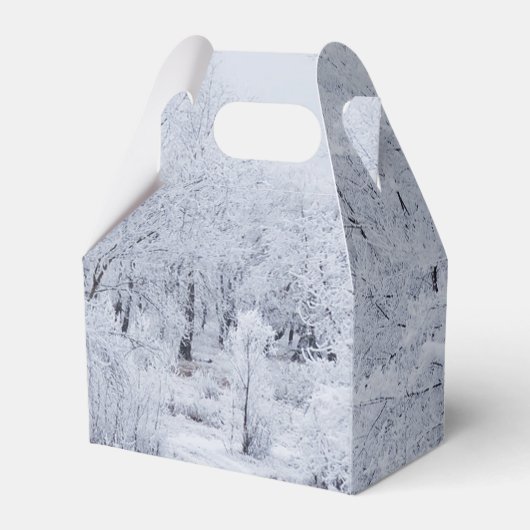 雪の冬のシーン フェイバーボックス (正面サイド)