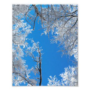 雪の冬のシーン フォトプリント