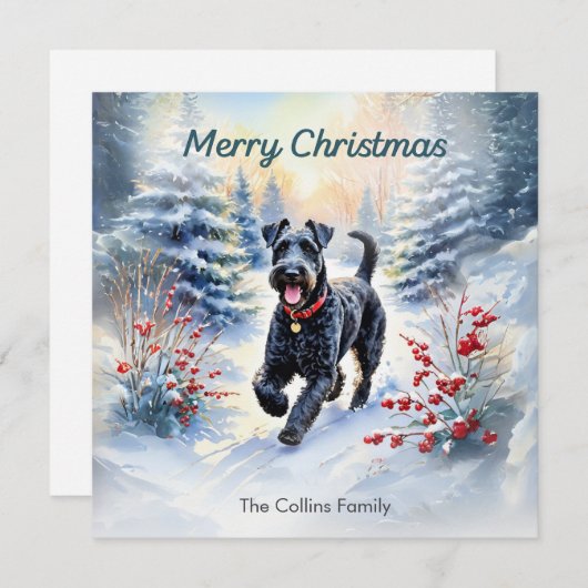 雪の冬のメリークリスマスにケリーブルーテリア シーズンカード (正面/裏面)