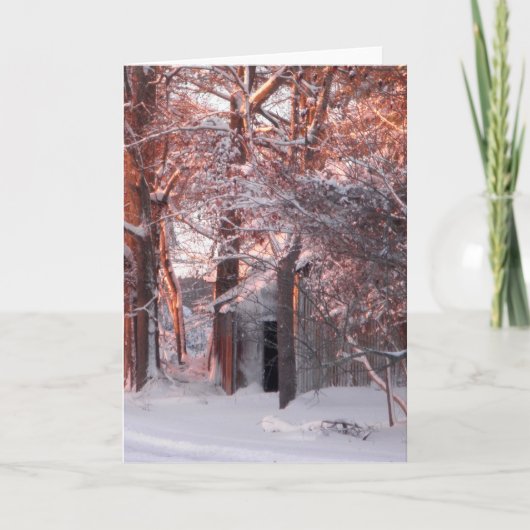 雪の冬の写真のピンクの日の出 シーズンカード (正面)