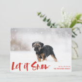 雪の冬の写真を赤 シーズンカード (スタンド正面)