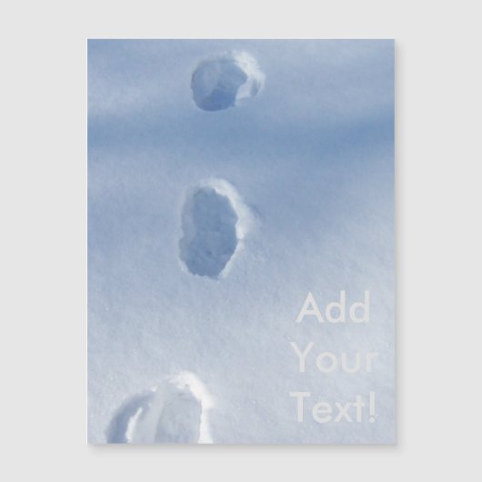 雪の冬の足跡 (正面)