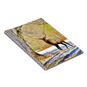 >雪の前面のブルエルク ノートブック (右側)