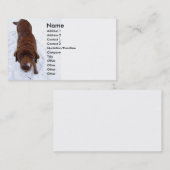 雪の名刺のチョコレートラブラドール 名刺 (正面/裏面)