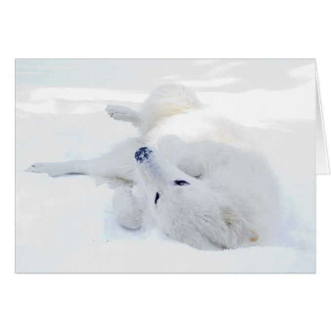 雪の圧延 (正面横)