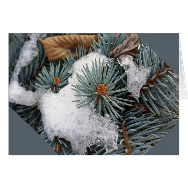 雪の塊 (正面横)