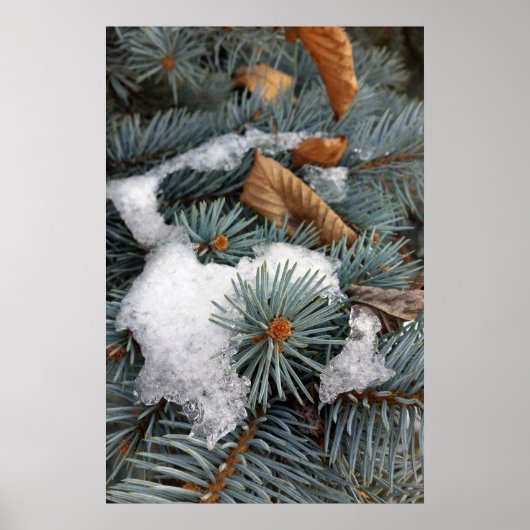 雪の塊 ポスター (正面)