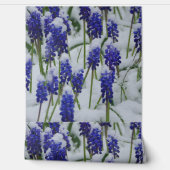 雪の壁紙にブドウのヒヤシンス 壁紙 (ほどく)