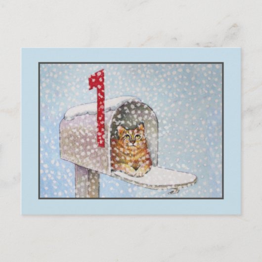 雪の多いクリスマス猫はがき シーズンポストカード (正面)