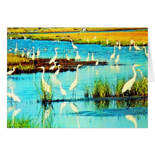 雪の多いサギ (正面横)