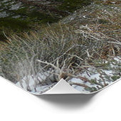 雪の多いシエラネバダ山脈をドライブする ポスター (コーナー)