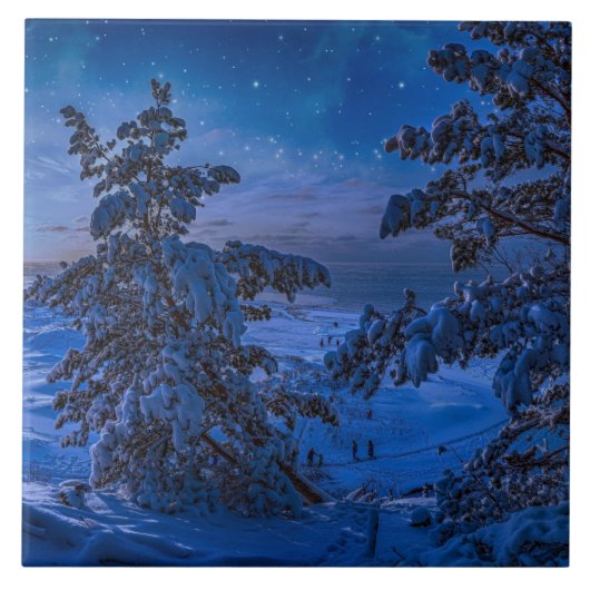 雪の多いバルト海の海岸とモミの木が夜に タイル (正面)