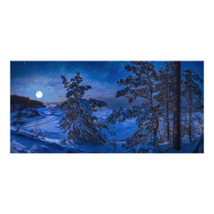 雪の多いバルト海の海岸とモミの木が夜に フォトプリント