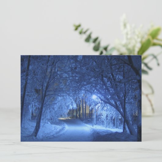 雪の多い冬の夜 (スタンド正面)