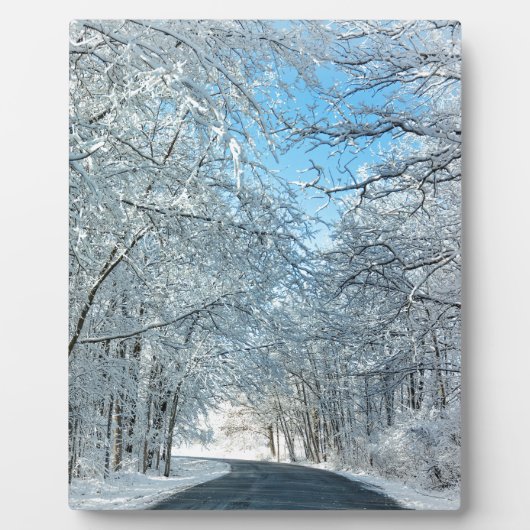 雪の多い冬の木 フォトプラーク (正面)